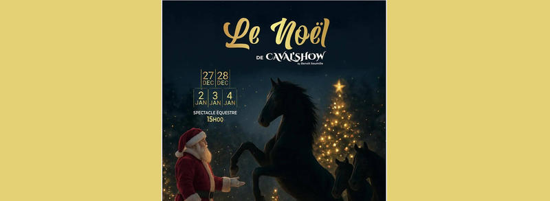 Le Noël de Caval'Show à Noves