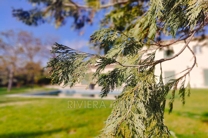 Villa - 350 m² - 9 pièces