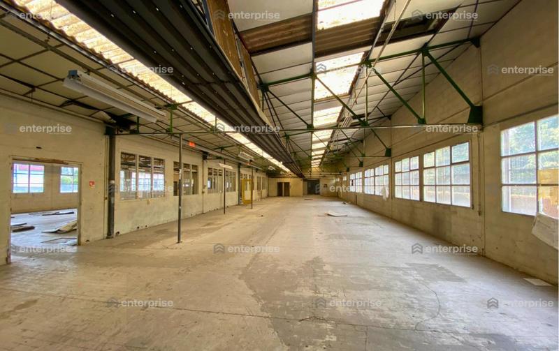 Local d'activité / Entrepôt - 1 773 m²