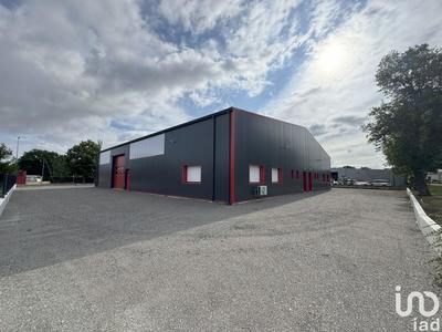 Local commercial - 702 m²