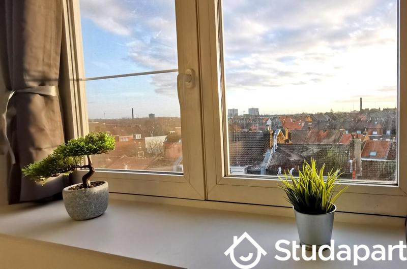 Appartement - 37 m² - 2 pièces