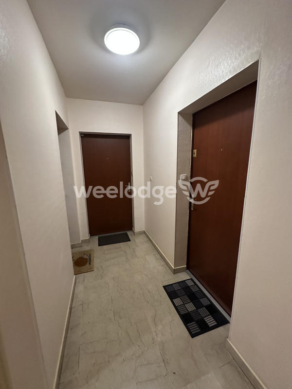 Appartement - 42 m² - 1 pièce