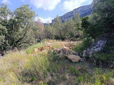 Terrain agricole - 5 230 m²