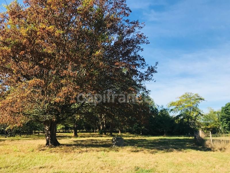 Terrain constructible - 9 346 m²