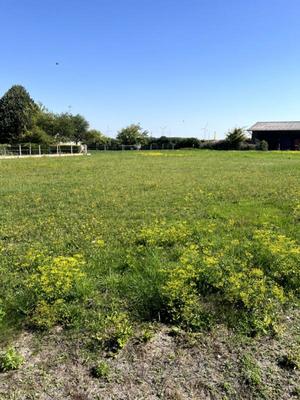 Terrain constructible - 1 720 m²