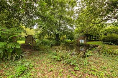 Maison - 307 m² - 11 pièces