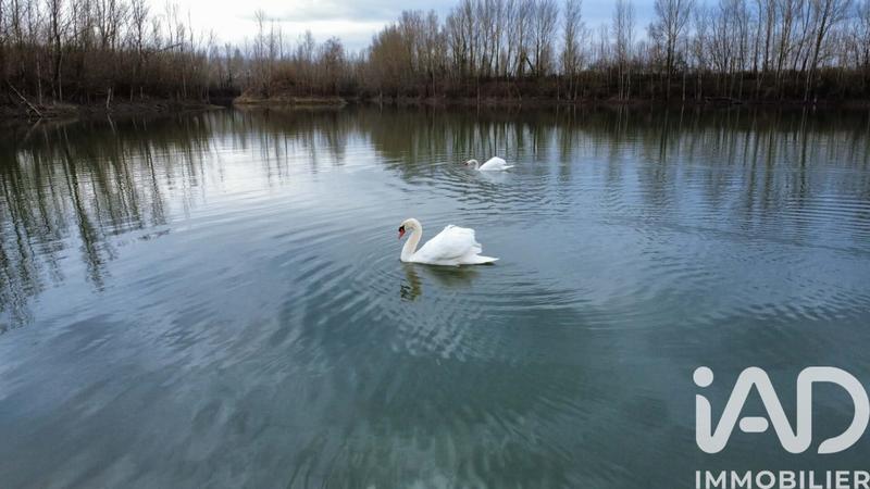 Terrain - 125 000 m²