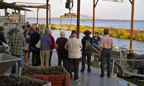 Ateliers - Découvertes - Dégustation