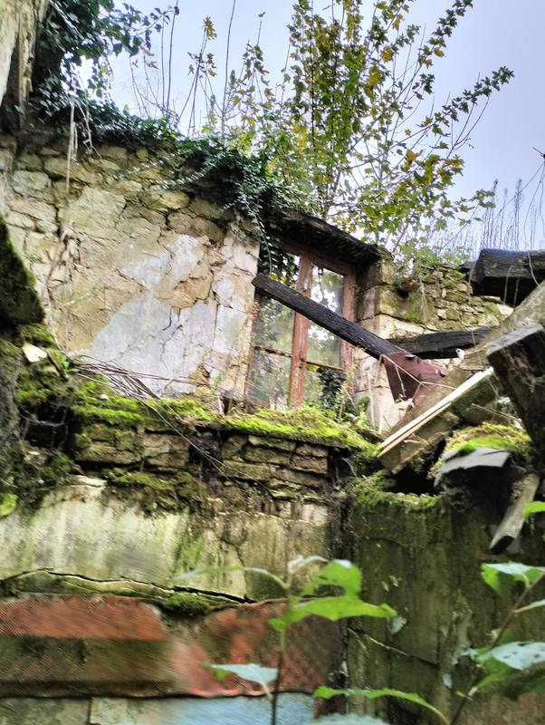 Maison - 62 m² - 1 pièce