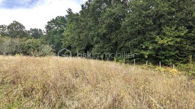 Terrain constructible - 1 775 m²