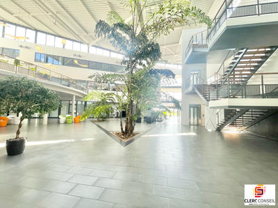 Bureau - 143 m²