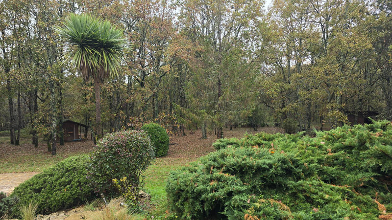 Maison - 180 m² - 6 pièces