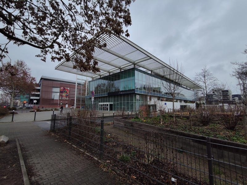 Duplex - 25 m² - 1 pièce