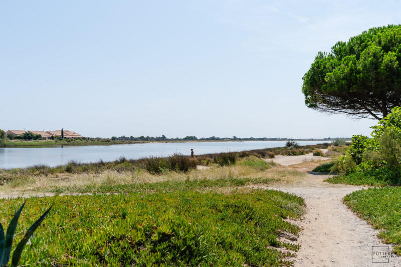 Appartement - 23 m² - 2 pièces