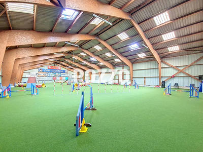 Local d'activité / Entrepôt - 1 200 m²