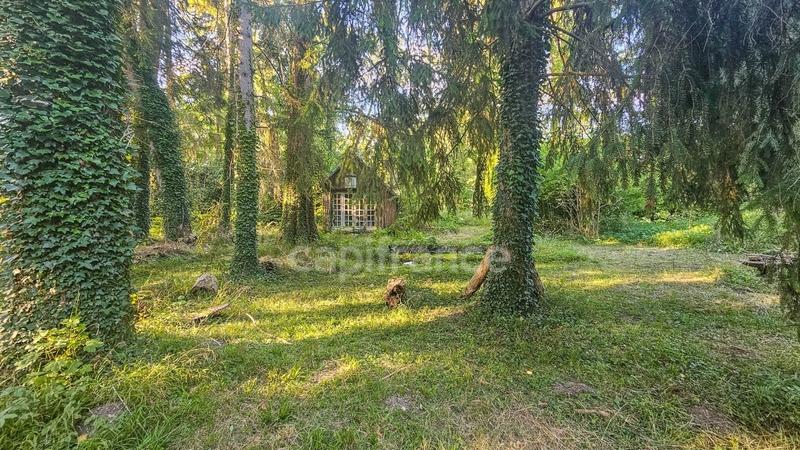 Appartement - 113 m² - 4 pièces