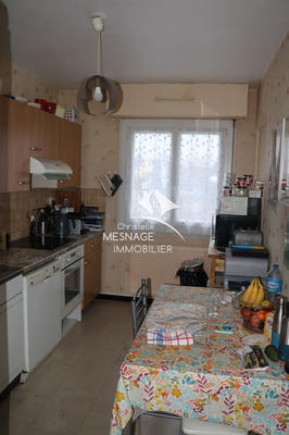 Appartement - 50 m² - 2 pièces