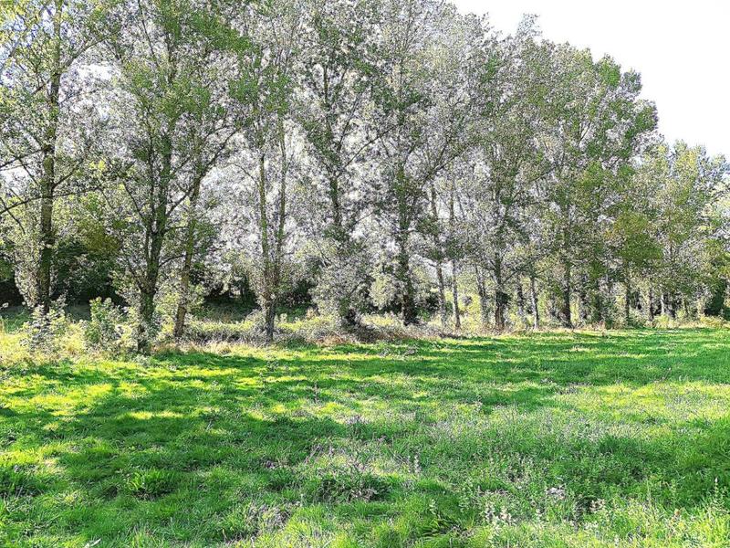 Propriété - 325 m² - 10 pièces