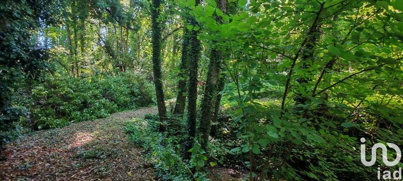 Maison - 348 m² - 10 pièces