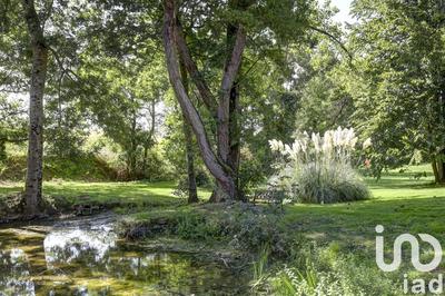 Maison - 369 m² - 11 pièces