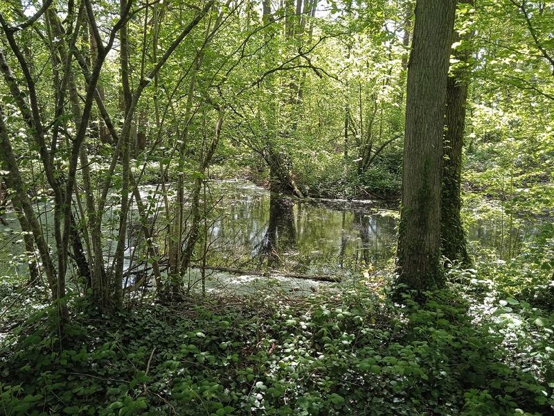 Vendredis "nature" : de l'argile au pot