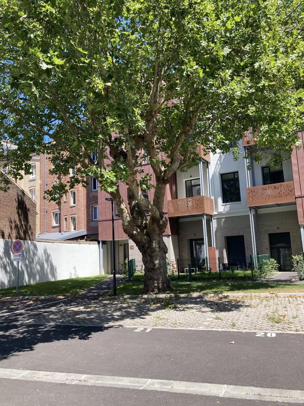 Appartement - 45 m² - 2 pièces