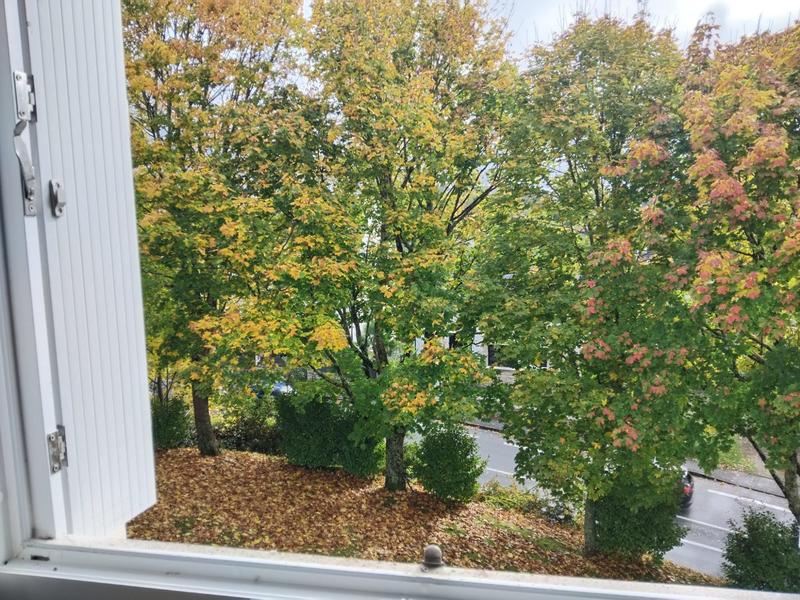 Appartement - 70 m² - 4 pièces