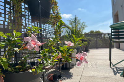 Appartement - 71 m² - 4 pièces