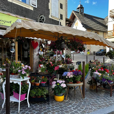 Local commercial - 50 m² - 3 pièces