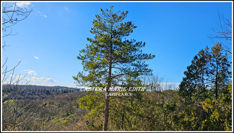 Maison - 322 m² - 9 pièces