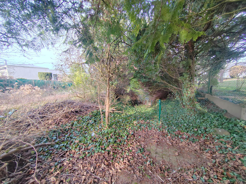 Terrain de loisirs - 462 m²