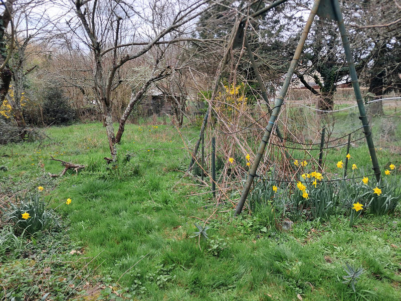 Maison - 101 m² - 6 pièces