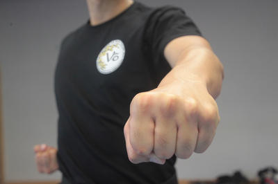 Arts Martiaux Vietnamiens - Liên Minh  Võ  Sinh tự Lập