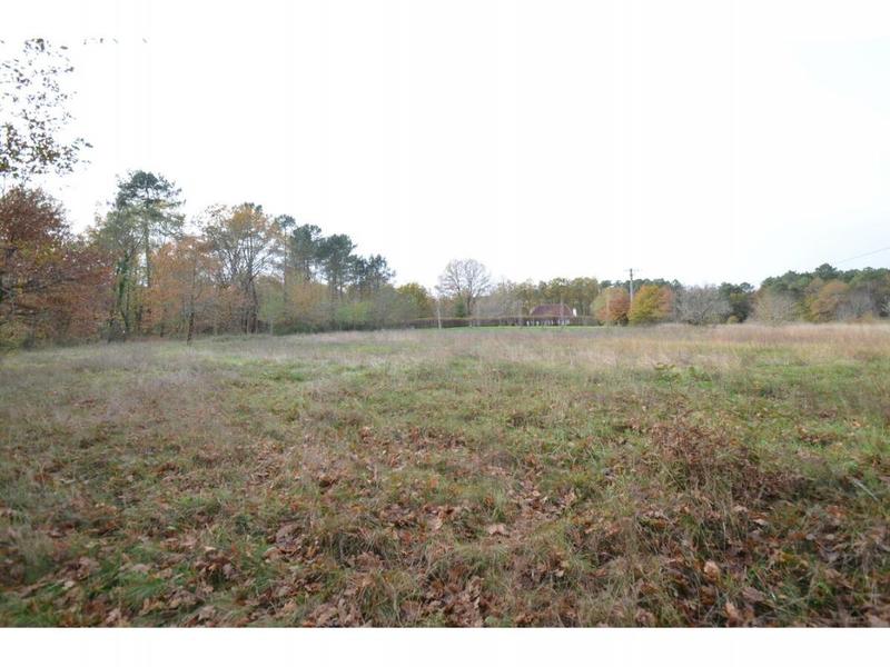 Terrain constructible - 4 424 m²