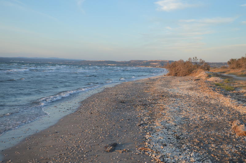 Randonnée commentée : Lido du Jaï, nature sauvage entre deux étangs