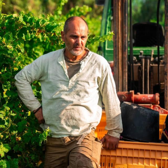 Wine gaming au Domaine viticole de l'Anchois