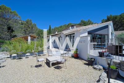 Maison chambre d'hôtes - 420 m² - 19 pièces