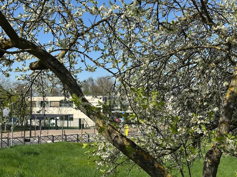 Terrain constructible - 428 m²