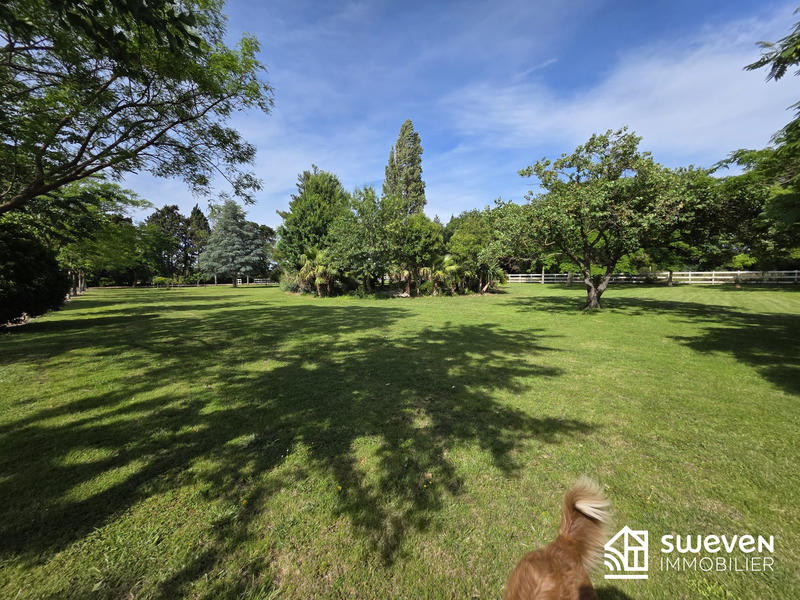 Mas - 360 m² - 10 pièces