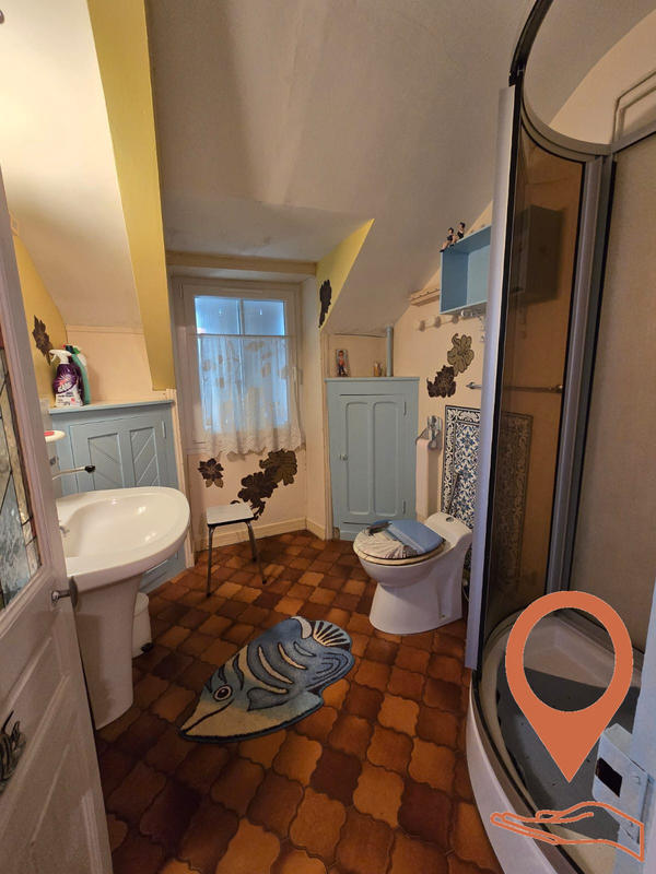 Viager - Maison - 250 m² - 10 pièces