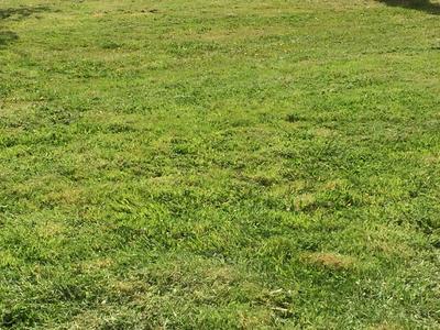 Terrain constructible - 850 m²