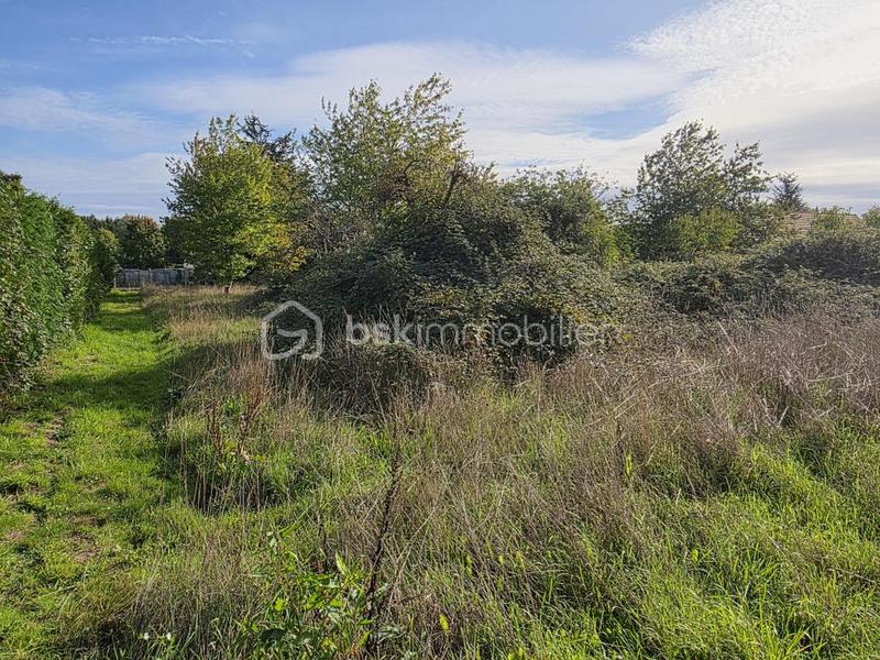 Terrain constructible - 1 831 m²