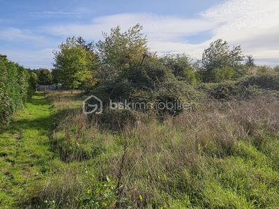 Terrain constructible - 1 831 m²