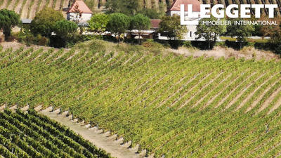 Propriété - 370 m² - 10 pièces