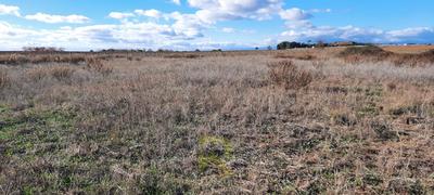 Terrain agricole - 20 270 m²