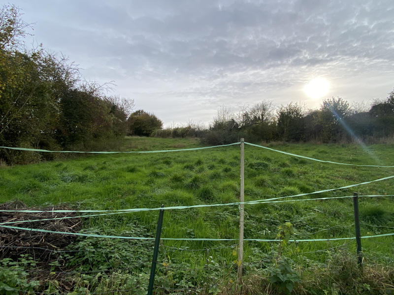 Maison - 87 m² - 5 pièces