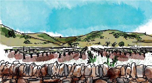 Table-Ronde : se Réapproprier la Pierre Sèche