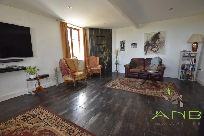 Maison ancienne - 300 m² - 10 pièces