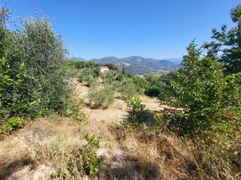 Terrain - 16 415 m²