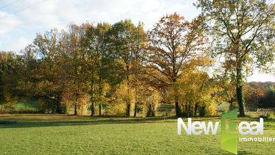 Terrain constructible - 3 169 m²